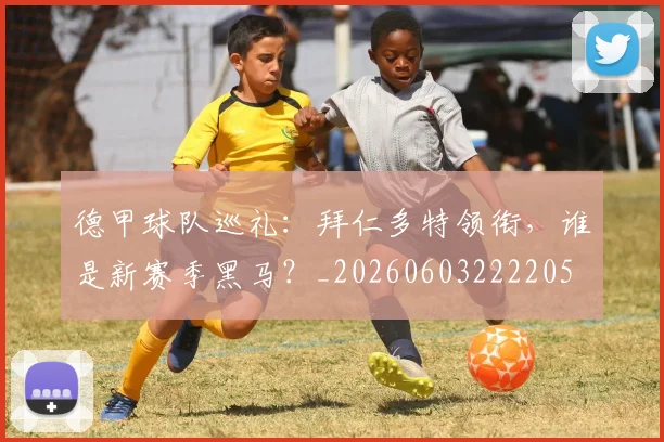德甲球队巡礼：拜仁多特领衔，谁是新赛季黑马？_20260603222205
