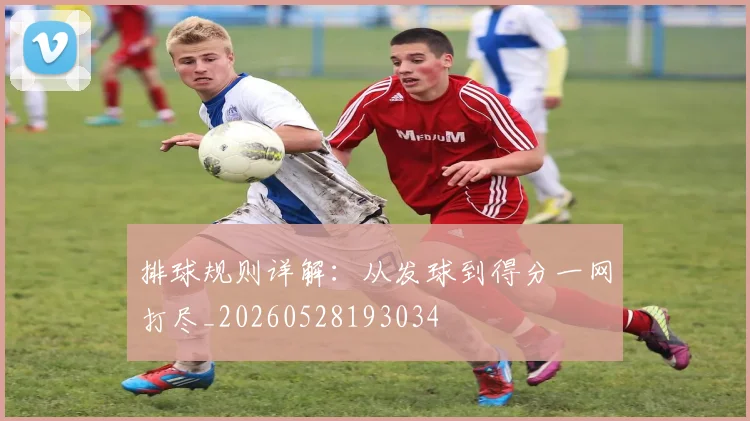 排球规则详解：从发球到得分一网打尽_20260528193034
