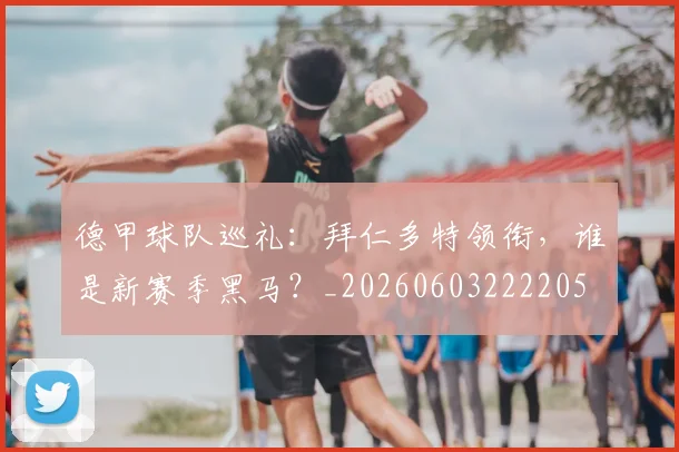 德甲球队巡礼：拜仁多特领衔，谁是新赛季黑马？_20260603222205