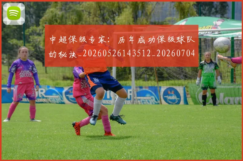 中超保级专家：历年成功保级球队的秘诀_20260526143512_20260704163725
